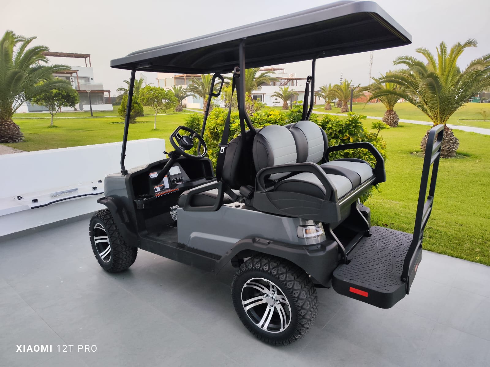 CARROS DE GOLF 